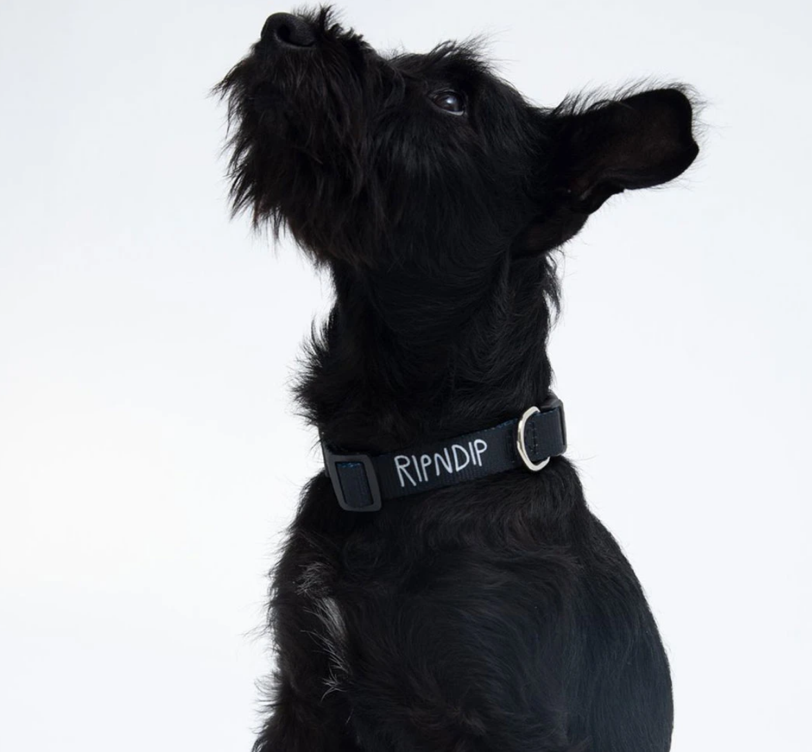 Rip N Dip Pet Collar - Black Rip N Dip Pet Collar - Black
